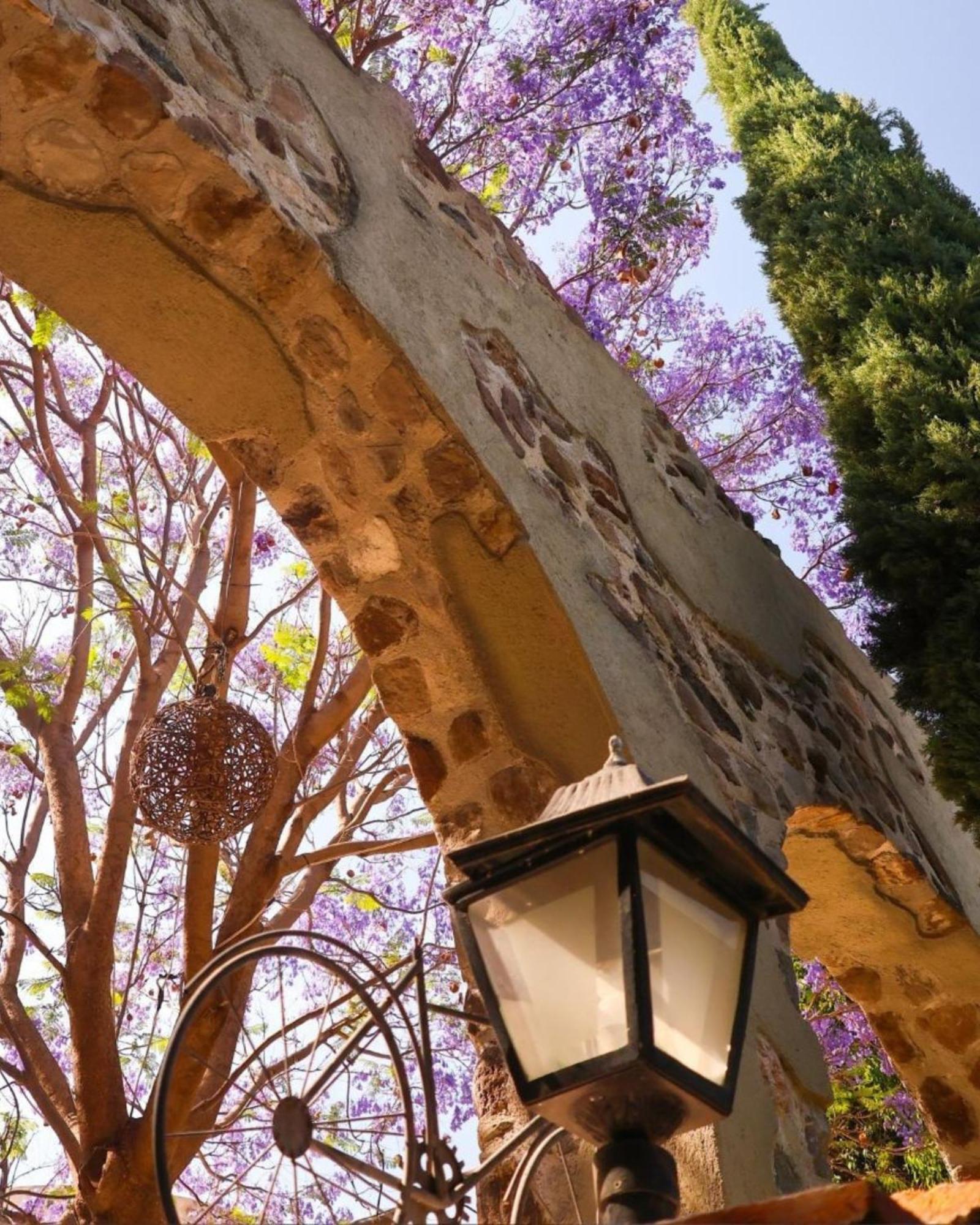 Suites Campestres Montebello Bernal Exterior photo