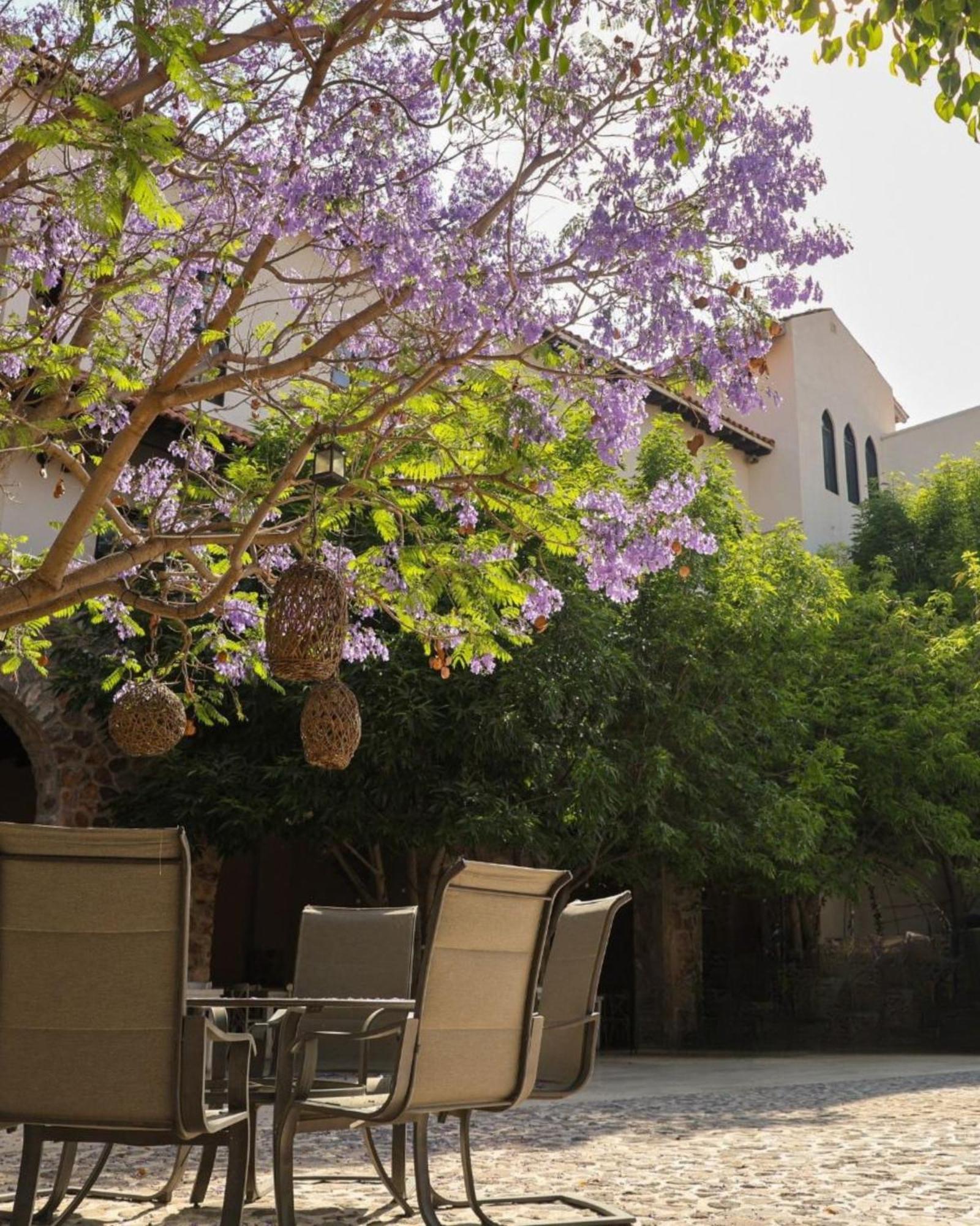 Suites Campestres Montebello Bernal Exterior photo
